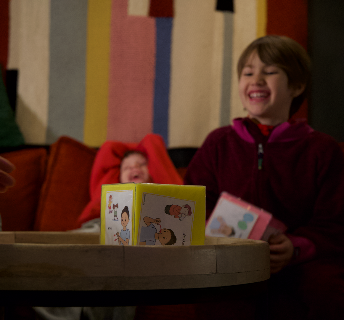 Terninger m/lommer og PDF-pakke