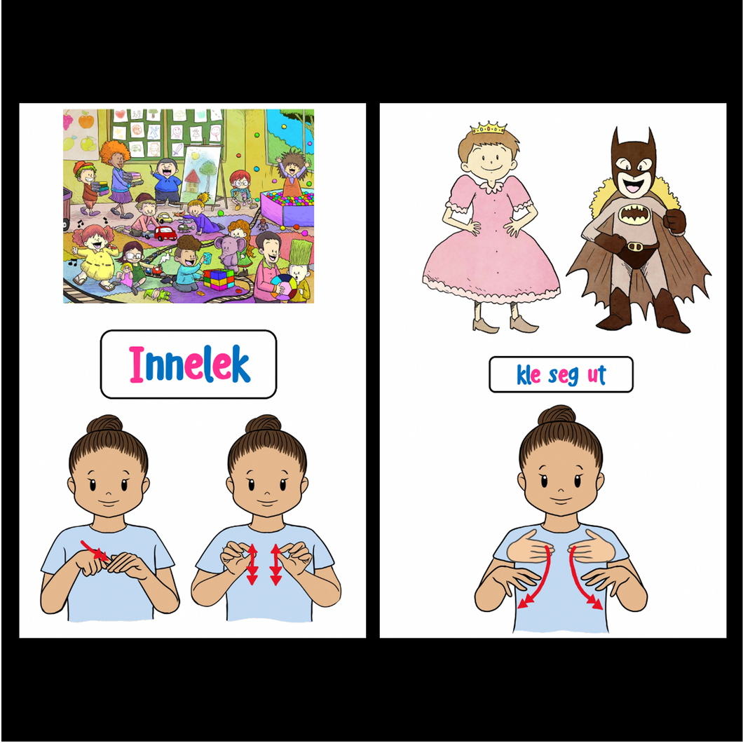 Store begrepskort (PDF): Innelek