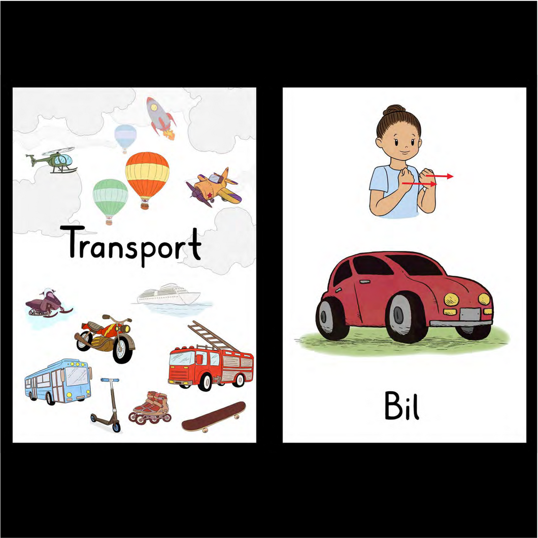 Store begrepskort (PDF): Transport