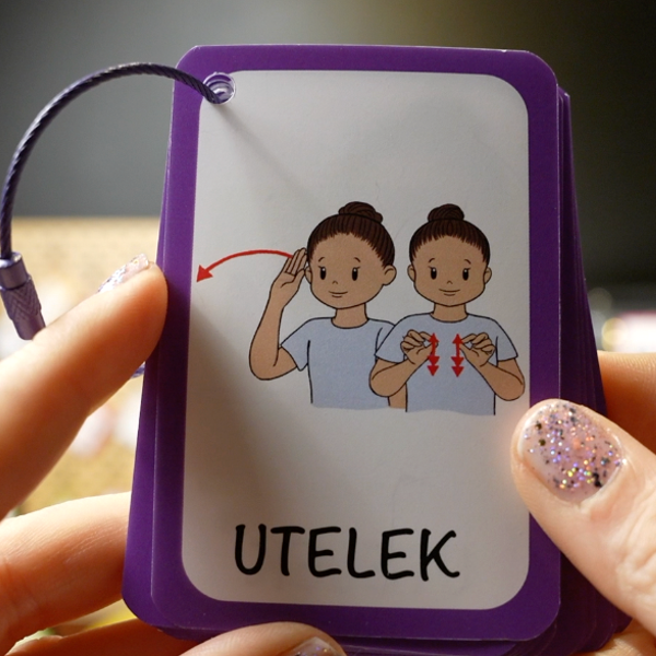 Dagtavle m/1000+ kort